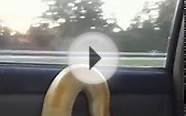 11 Foot Burmese Python Goes for a Car Ride