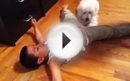 Dog Bites Little Kid Balls LOL (HD)