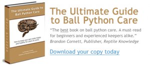 Ball Python Care Book