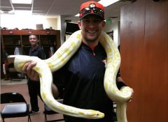 Here Are Some Houston Astros Just Chillin' With An Albino Python