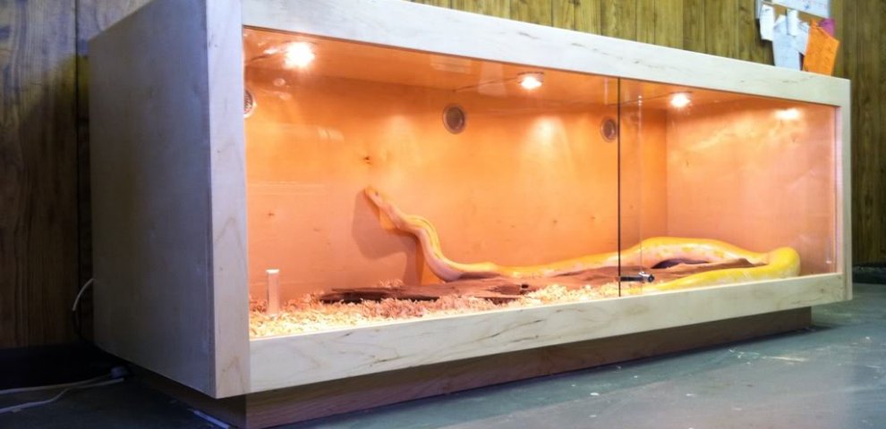 Burmese python enclosure