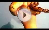 ball python care video