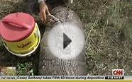 Massive 16 Foot Florida Burmese Python Eats Deer - 44 Inch