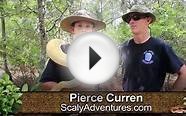 Meet A BIG Burmese Python With Scaly Adventures!