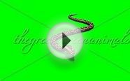python snake crawls - green screen 3